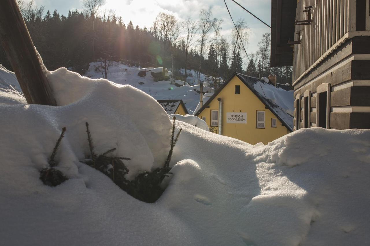 Pension Pod Vlekem Janov nad Nisou Dış mekan fotoğraf