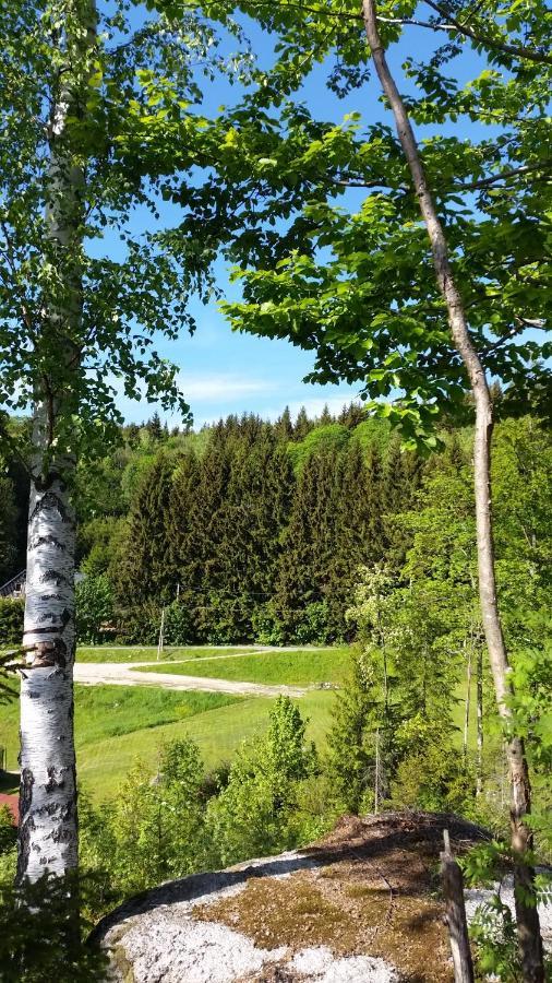 Pension Pod Vlekem Janov nad Nisou Dış mekan fotoğraf