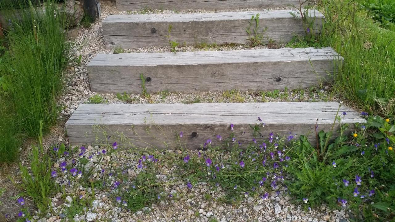 Pension Pod Vlekem Janov nad Nisou Dış mekan fotoğraf