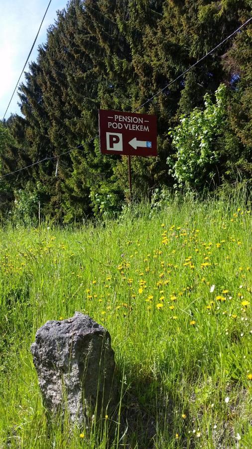 Pension Pod Vlekem Janov nad Nisou Dış mekan fotoğraf