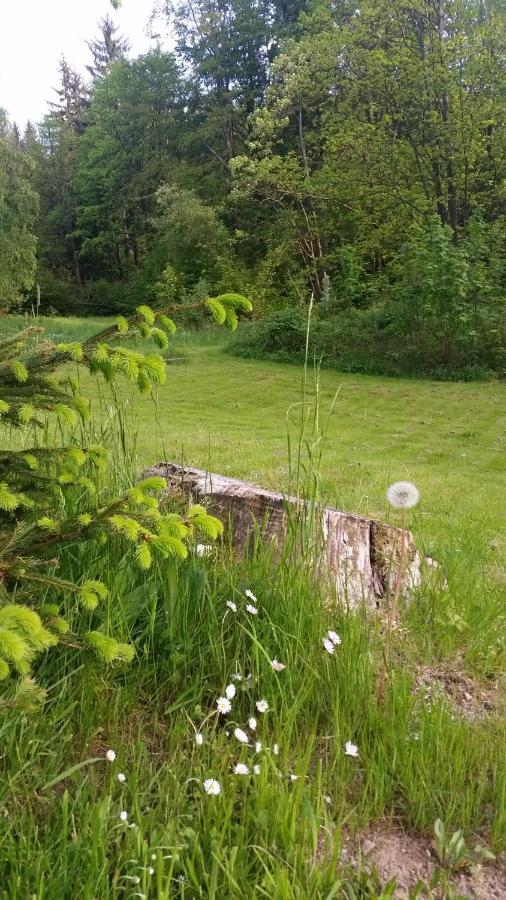 Pension Pod Vlekem Janov nad Nisou Dış mekan fotoğraf