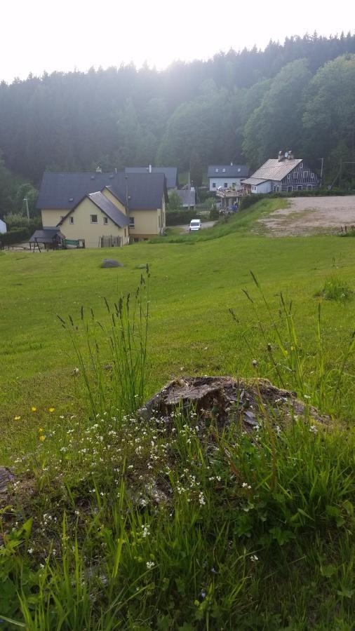 Pension Pod Vlekem Janov nad Nisou Dış mekan fotoğraf