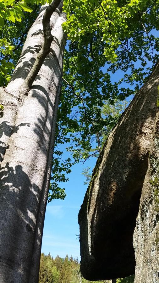 Pension Pod Vlekem Janov nad Nisou Dış mekan fotoğraf