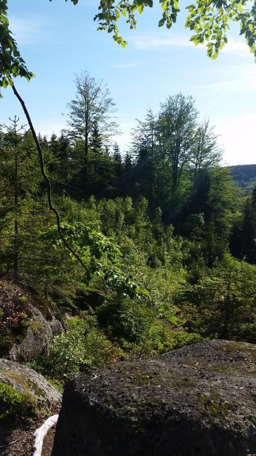 Pension Pod Vlekem Janov nad Nisou Dış mekan fotoğraf